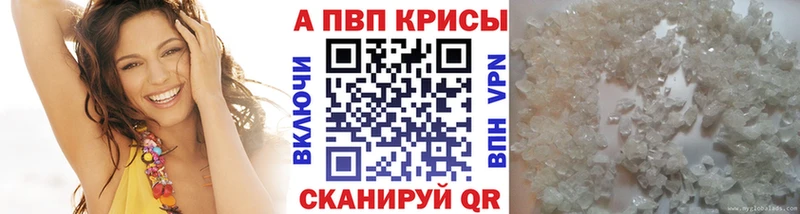 A-PVP СК  Ленинск-Кузнецкий 