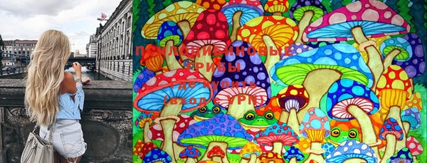 круглые Аркадак
